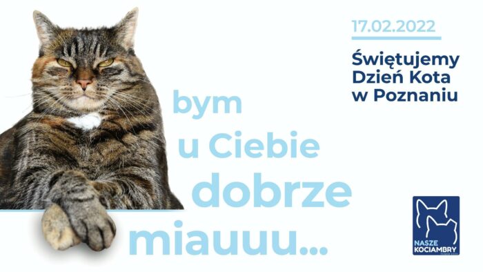 Grafika artykułu: W lewej części grafiki znajduje się zdjęcie kota, obok napis "bym u ciebie dobrze miauuu...". W prawej części grafiki napis: "17.02.2022. Świętujemy Dzień Kota w Poznaniu".