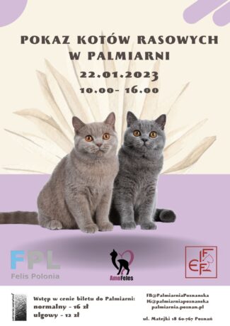 Grafika artykułu: plakat informacyjny, w centrum dwa szare koty na fioletowym tle, powyżej brązowy napis "Pokaz Kotów Rasowych w Palmiarni", na jasnobeżowym tle, na dole logotypy partnerów i szczegółowe informacje.