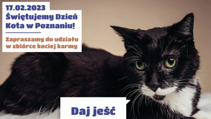 Grafika artykułu: zdjęcie czarno-białego kota, ma zielone oczy, przy jego głowie biały dymek dialogowy z napisem: "Daj jeść", w lewym górnym rogu na białym tle napis: "17.02.2023 Świętujemy Dzień Kota w Poznaniu! Zapraszamy do udziału w zbiórce kociej karmy".