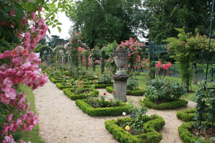 Grafika artykułu: Na zdjęciu ogród różany w IHay les Roses, w dwóch rzędach znajdują się różne odmiany róż, m.in. w ziemi, w donicach i na ogrodowych konstrukcjach.