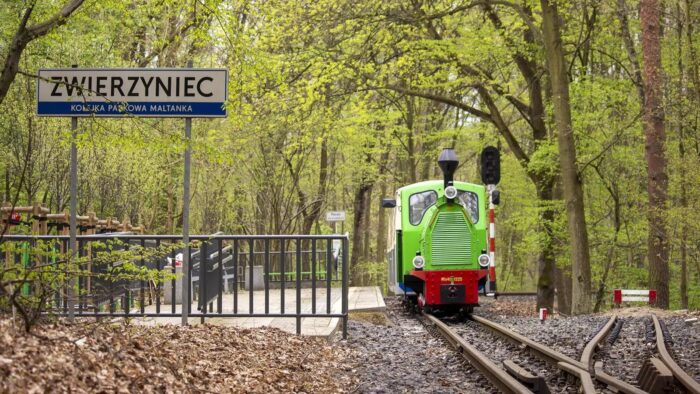 Grafika artykułu: na zdjęciu Kolejka Parkowa Maltanka, zielona lokomotywa stoi przy stacji końcowej "Zwierzyniec", w tle zielone drzewa parkowe.