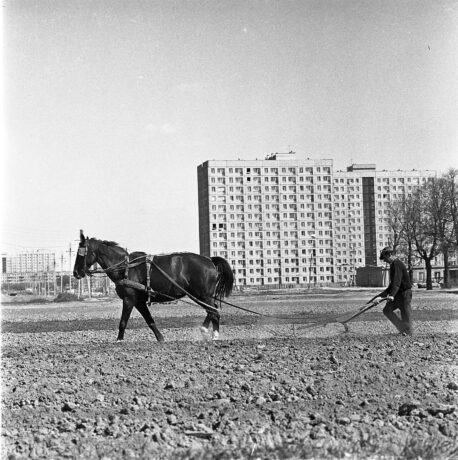 Grafika artykułu: Czarno-białe zdjęcie, na pierwszym planie oracz z czarnym koniem, w tle blok w wielkiej płyty.